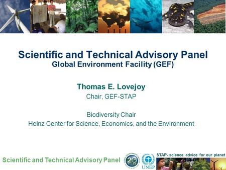 Scientific and Technical Advisory Panel STAP- science advice for our planet Thomas E. Lovejoy Chair, GEF-STAP Biodiversity Chair Heinz Center for Science,