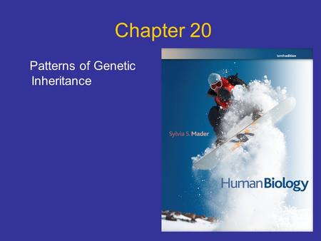 Chapter 20 Patterns of Genetic Inheritance. Points to Ponder What is the genotype and the phenotype of an individual? What are the genotypes for a homozygous.