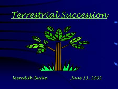 Terrestrial Succession Meredith Burke June 13, 2002.