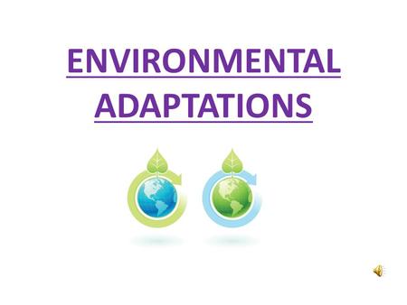 ENVIRONMENTAL ADAPTATIONS 1)Woodland river Q: What adaptations are necessary for an organism to survive successfully in this environment?