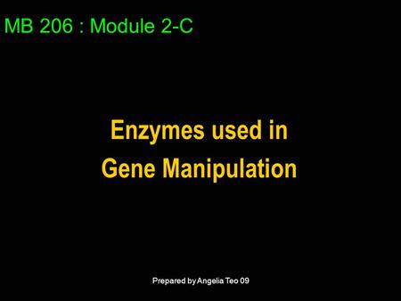 MB 206 : Module 2-C Enzymes used in Gene Manipulation Prepared by Angelia Teo 09.
