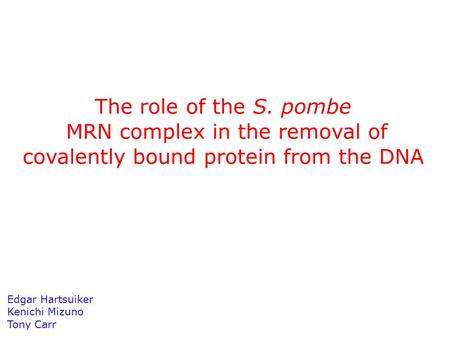 The role of the S. pombe MRN complex in the removal of covalently bound protein from the DNA Edgar Hartsuiker Kenichi Mizuno Tony Carr.