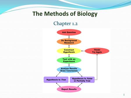 1 The Methods of Biology Chapter 1.2. 2 Scientific Methods.