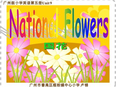 广州市番禺区榄核镇中心小学 卢锦 广州版小学英语第五册 Unit 9 Peonies Peonies are the national flowers of China.