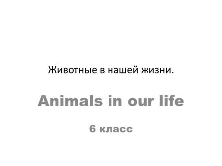 Животные в нашей жизни. Animals in our life 6 класс.