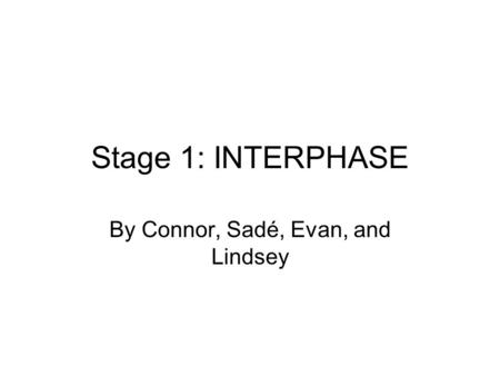 Stage 1: INTERPHASE By Connor, Sadé, Evan, and Lindsey.