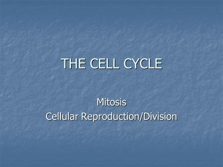 THE CELL CYCLE Mitosis Cellular Reproduction/Division.