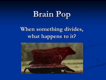 Brain Pop When something divides, what happens to it?