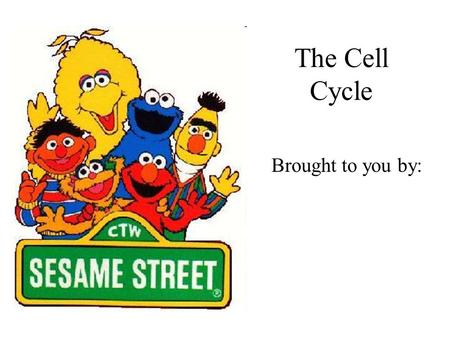 The Cell Cycle Brought to you by:. Today’s Lesson Is brought to you by the letter C And the numbers 23 and 46.