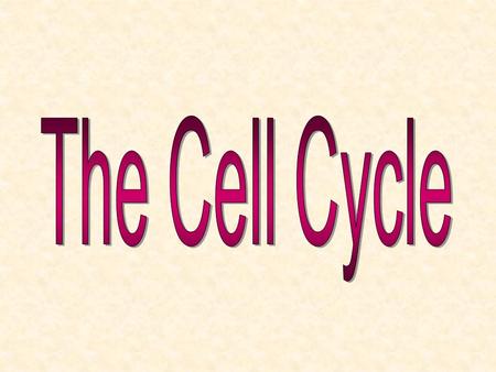 Why do cells divide? 4. For the reproduction of unicellular organisms (like bacteria) 1. To heal/repair tissue 2. For multicellular organisms to grow.