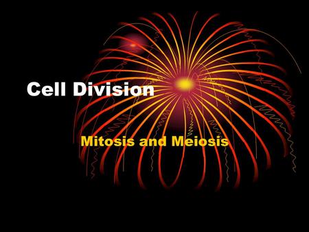 Cell Division Mitosis and Meiosis. Section 2 Objectives – page 201 Section Objectives Relate the function of a cell to its organization in tissues, organs,