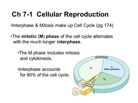 Ch 7-1 Cellular Reproduction