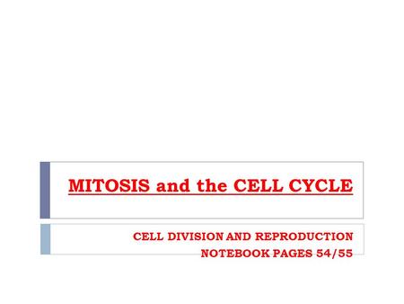 MITOSIS and the CELL CYCLE