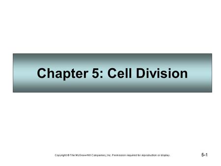Chapter 5: Cell Division
