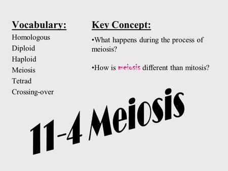 Vocabulary: Homologous Diploid Haploid Meiosis Tetrad Crossing-over Key Concept: What happens during the process of meiosis? How is meiosis different.