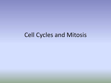 Cell Cycles and Mitosis