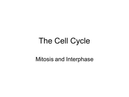The Cell Cycle Mitosis and Interphase. Interphase The time between cell division Cell is doing its job DNA duplicates- chromosomes make exact copies.