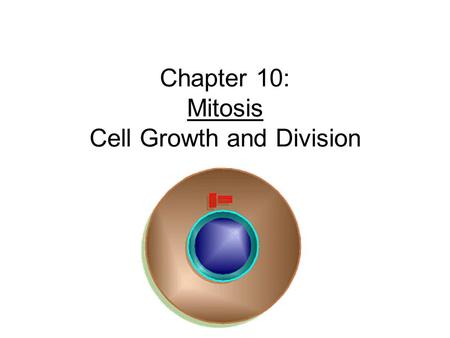 Chapter 10: Mitosis Cell Growth and Division. Cell Division Cell Division – cell divides into two new IDENTICAL “daughter cells” Mitosis – division of.