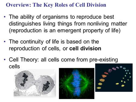 Overview: The Key Roles of Cell Division The ability of organisms to reproduce best distinguishes living things from nonliving matter (reproduction is.