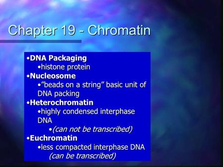 Chapter 19 - Chromatin DNA PackagingDNA Packaging histone proteinhistone protein NucleosomeNucleosome ”beads on a string” basic unit of DNA packing”beads.