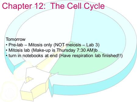 Chapter 12: The Cell Cycle Tomorrow Pre-lab – Mitosis only (NOT meiosis – Lab 3) Mitosis lab (Make-up is Thursday 7:30 AM)b turn in notebooks at end (Have.