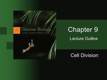 Cell Division Chapter 9 Lecture Outline. © 2009 W.W. Norton & Company, Inc. DISCOVER BIOLOGY 4/e 2 The Need for Cell Division Renewal and repair of tissues.