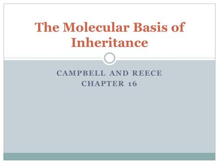 The Molecular Basis of Inheritance