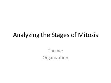 Analyzing the Stages of Mitosis Theme: Organization.