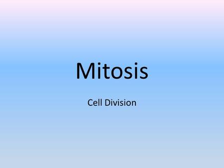 Mitosis Cell Division. Mitosis Mitosis is the process of cell division producing identical daughter cells from the parent cell. Used by single cell organisms.