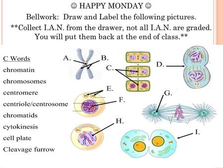 HAPPY MONDAY Bellwork: Draw and Label the following pictures. **Collect I.A.N. from the drawer, not all I.A.N. are graded. You will put them back at the.