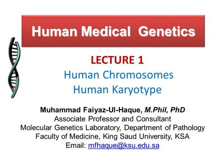 Human Medical Genetics LECTURE 1 Human Chromosomes Human Karyotype Muhammad Faiyaz-Ul-Haque, M.Phil, PhD Associate Professor and Consultant Molecular Genetics.