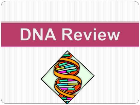 What does DNA stand for? Deoxyribonucleic Acid _______ is the enzyme that chemically links Okazaki fragments together DNA Ligase.