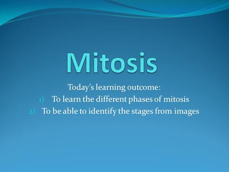 Today’s learning outcome: 1) To learn the different phases of mitosis 2) To be able to identify the stages from images.
