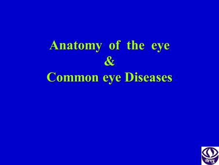 Anatomy of the eye & Common eye Diseases. Bony orbit Eyelids Eyeball and optic nerve Vessels and nerves.
