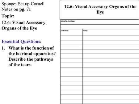 Sponge: Set up Cornell Notes on pg. 71 Topic: 12.6: Visual Accessory Organs of the Eye Essential Questions: 1.What is the function of the lacrimal apparatus?