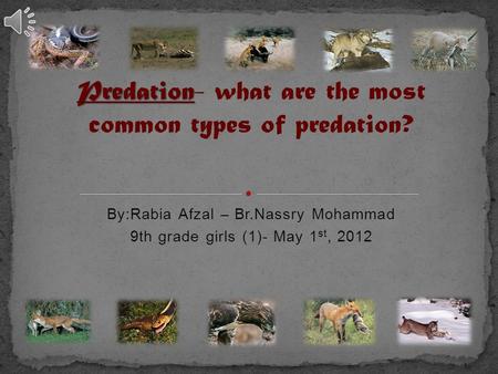 By:Rabia Afzal – Br.Nassry Mohammad 9th grade girls (1)- May 1 st, 2012.