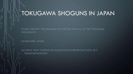 Tokugawa Shoguns in Japan