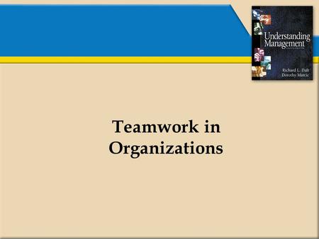 Teamwork in Organizations. What is a Team?  A unit of two or more people.  Members interacting and coordinating their work.  Members accomplishing.