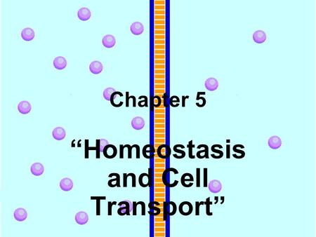 “Homeostasis and Cell Transport”