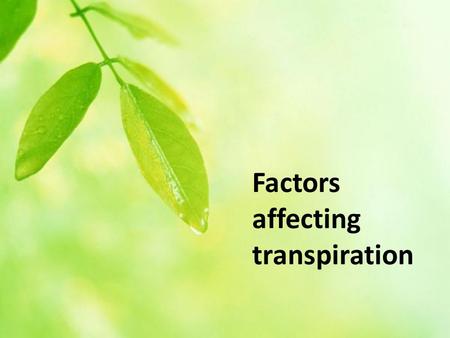 Factors affecting transpiration