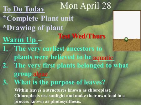 Mon April 28 To Do Today *Complete Plant unit *Drawing of plant Warm Up – 1.The very earliest ancestors to plants were believed to be ______ 2.The very.