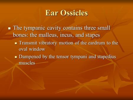 Ear Ossicles The tympanic cavity contains three small bones: the malleus, incus, and stapes The tympanic cavity contains three small bones: the malleus,