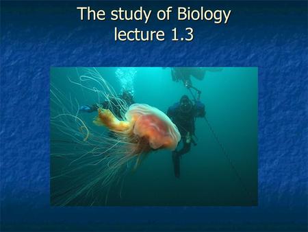 The study of Biology lecture 1.3. Science as a process Uses an organized approach to learn how the natural world works. Uses an organized approach to.