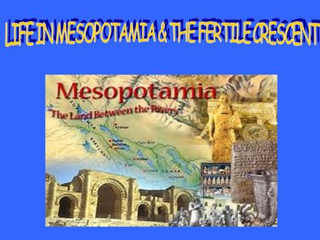 The rich land between the Tigris and Euphrates Rivers supported many farming villages. In the region called Mesopotamia, which meant “the land between.