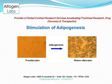 Provider of Global Contract Research Services Accelerating Preclinical Research, Drug Discovery & Therapeutics Stimulation of Adipogenesis Altogen Labs.