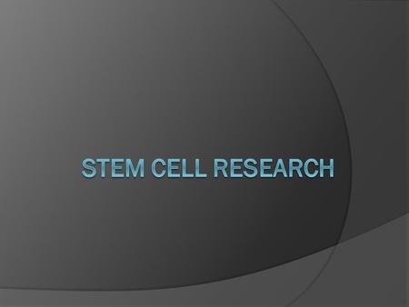 Stem Cells Stem cells are immature cells that have not turned into specific cells yet; they haven’t become blood or skin, or anything else Stem cells.