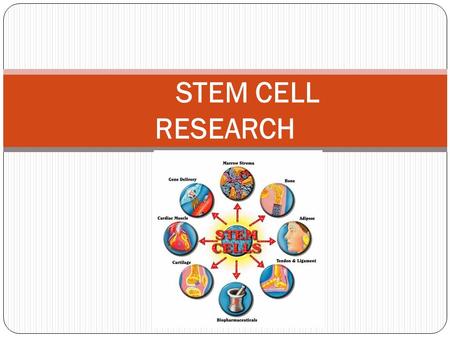 STEM CELL RESEARCH. Pros or Cons  KX7lfmv-KQCFVB95QodVDwNigstem cell research