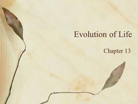 Evolution of Life Chapter 13. Origin of Life Age of Planet Earth - 4.6 billion years Oldest fossils - 3.5 billion years Possible Formation of the First.