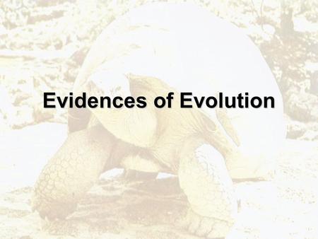 Evidences of Evolution. Evolution Genetic change in a population over time.