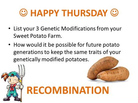 HAPPY THURSDAY List your 3 Genetic Modifications from your Sweet Potato Farm. How would it be possible for future potato generations to keep the same traits.